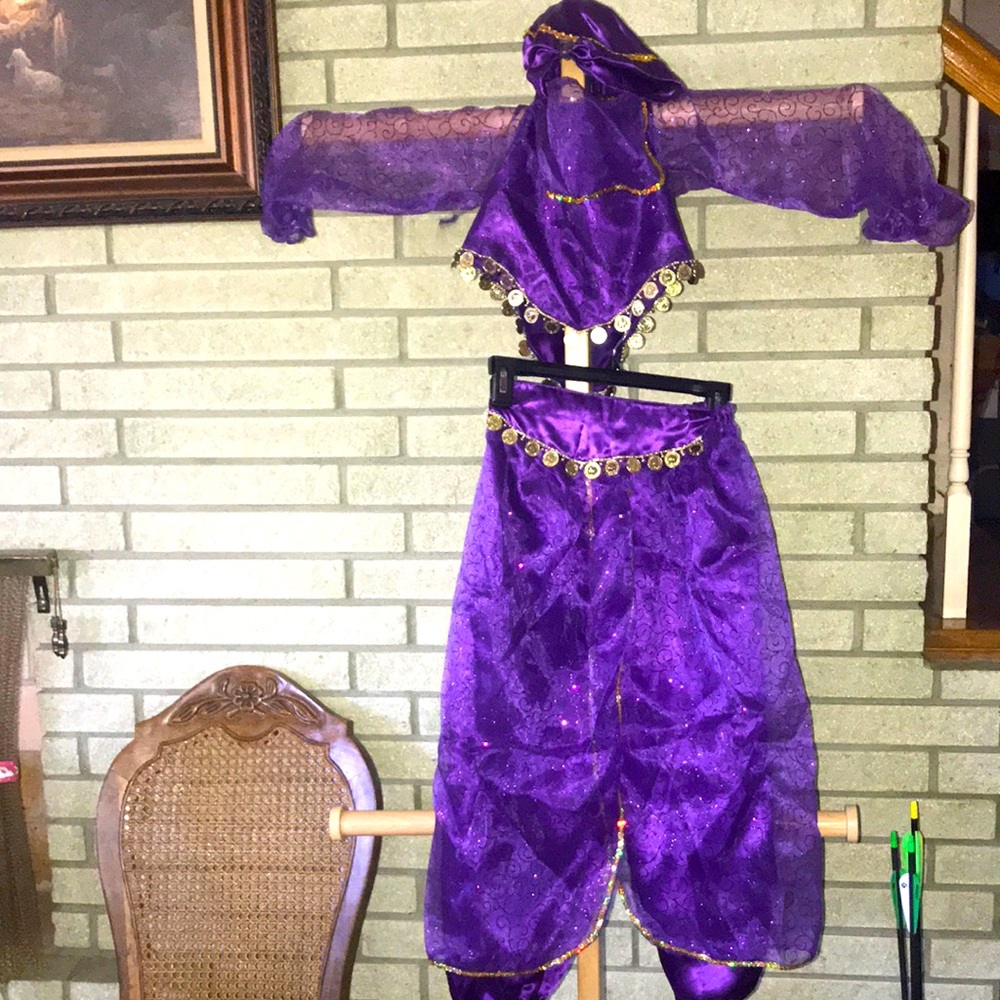 Arabian dancer genie type purple costume